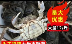 新品种小河蟹苗价格多少？