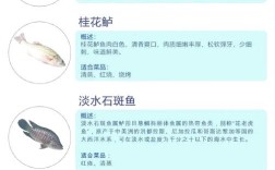 淡水观赏鱼品种图片有哪些？