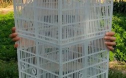 胡蜂蜂王过冬技术公开