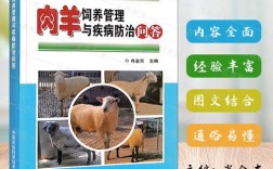 肉羊繁殖技术规程有哪些关键要点？