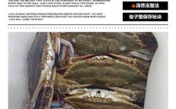 最新梭子蟹暂养技术有哪些要点？