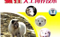 蓝孤养殖技术视频下载