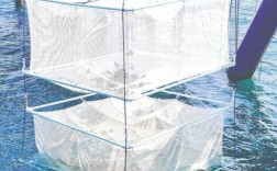 野生河虾网箱养殖技术