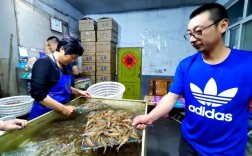 青岛即墨生态养车虾技术如何实现生态与养虾结合？