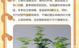 文竹家庭栽培，关键管理技术有哪些？