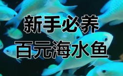 海水产新品种有哪些？养殖前景如何？