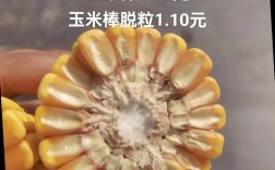 2025年秋季玉米价格