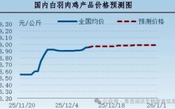 今日肉食鸡毛鸡价格行情如何？