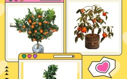 40种水果树品种大全