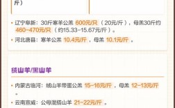 2025年山羊收购价会是多少？