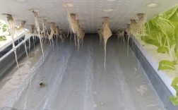 有机蔬菜如何高效种植？