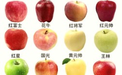 苹果品种名称大全图片