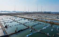 威海最大水产养殖基地，威海最大水产养殖基地在哪里
