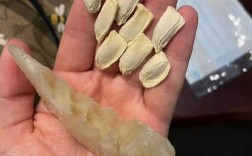 哪种柚子籽个头最大？