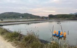 奥洲淡水龙虾养殖技术有哪些要点？