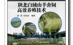 陕北白绒山羊养殖技术有哪些关键要点？