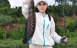 2025年黑鱼价格会涨还是跌？