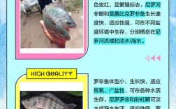 和罗非鱼品种类似的鱼