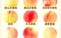桃子品种有哪些？图片大全看这里！