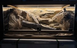 蜥蜴养殖场地视频技术要点有哪些？