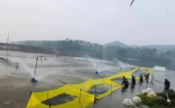 加州鲈水花的养殖技术