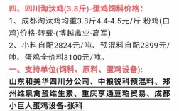 当前淘汰鸡价格行情将如何波动？养殖户该如何应对市场变化以保障收益？