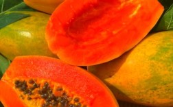 广东农科院木瓜品种有哪些特点？