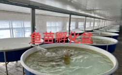 人工鱼苗培育技术视频