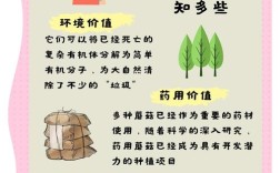 蘑菇种类多，种植技术有何关键？