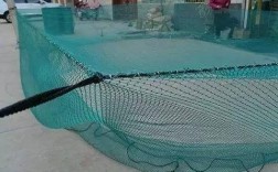 广西网箱草鱼批发价现在多少？