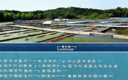 肇庆水产养殖分布在哪，肇庆市水产养殖