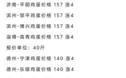 今日山东鸡蛋价格多少钱一斤？
