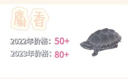 2025年成品龟价格