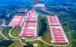 河南蛋鸡价格最新行情如何？