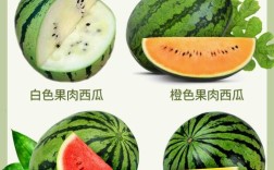 园西瓜品种有哪些？