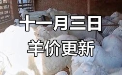 2025沈阳肉羊价格会涨还是跌？