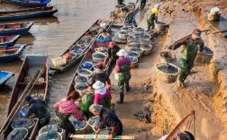 池塘如何高效养殖缢蛏？