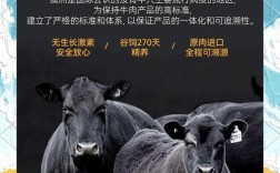 进口肉牛哪些品种最优良？