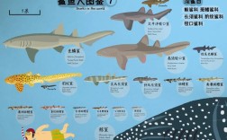 大白沙是什么品种？怎么养好？