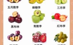 最早的李子品种是哪个？