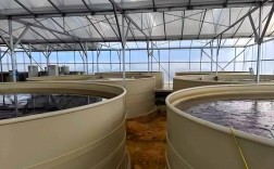 室内淡水水产养殖技术难点有哪些？