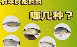 哪些鱼可与鲫鱼混养？