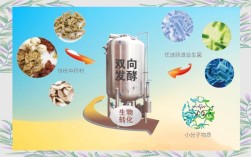 益生菌如何发酵中草药？