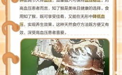 浙江哪里学蝉养殖技术？