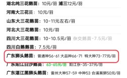 菏泽鹅苗最新价多少？