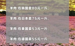 今日羊肉价格最新行情如何？