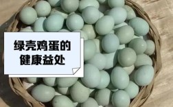 绿壳鸡蛋乌鸡养殖技术