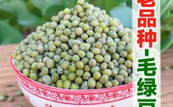 2025年绿豆价格会受哪些因素影响？是气候主导还是市场供需说了算？价格波动趋势究竟如何？