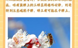 抗螨蜂王新品种有哪些优势？