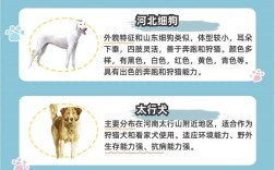 土肉狗有哪些品种？图片如何区分？